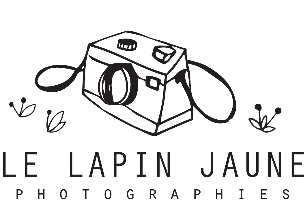 Logo Lapin Jaune
